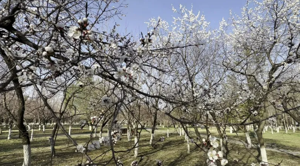 1714357141542227.png image.png