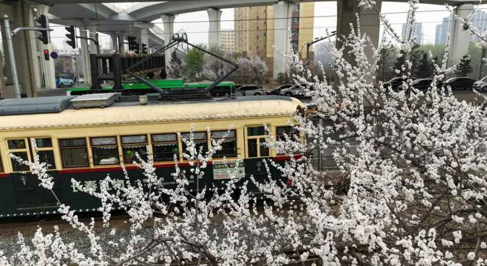 1714958617385562.png image.png