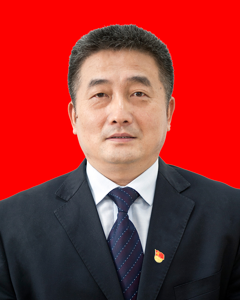 副總經(jīng)理--董曉冬